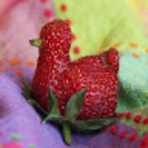 Meet your Posher, Jay & chandra